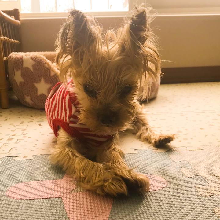 6dd18fa3 51f7 425b 9094 3b85eda42418 1672474158645