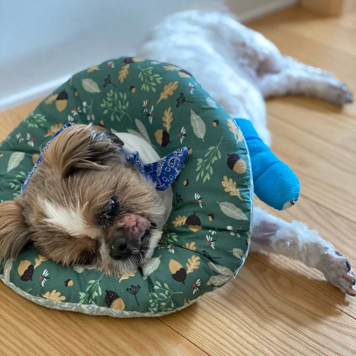 6dd19347 fc55 4e77 836d 1a72170b6515 1660442705859