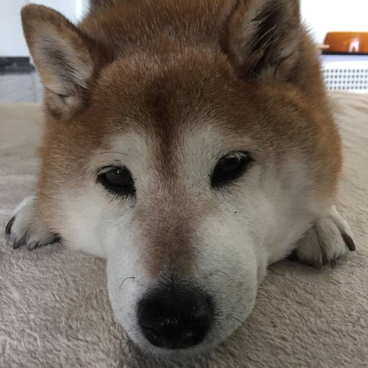 6dd1a37b fa15 4231 9bed 44a25a922037 1550387485583