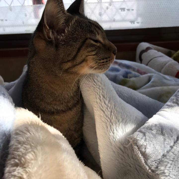 6dd1f01f 9724 4aab a294 13217517a437 1510880982771