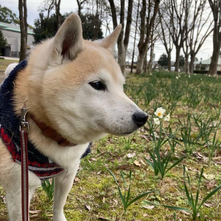 6dd1f8c6 4885 4c8f 95bd 94861bef1763 1645372525559