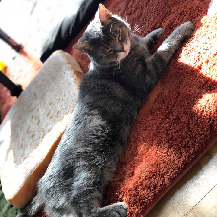 6dd20839 ebff 424e 9435 f3d663303118 1517996554374