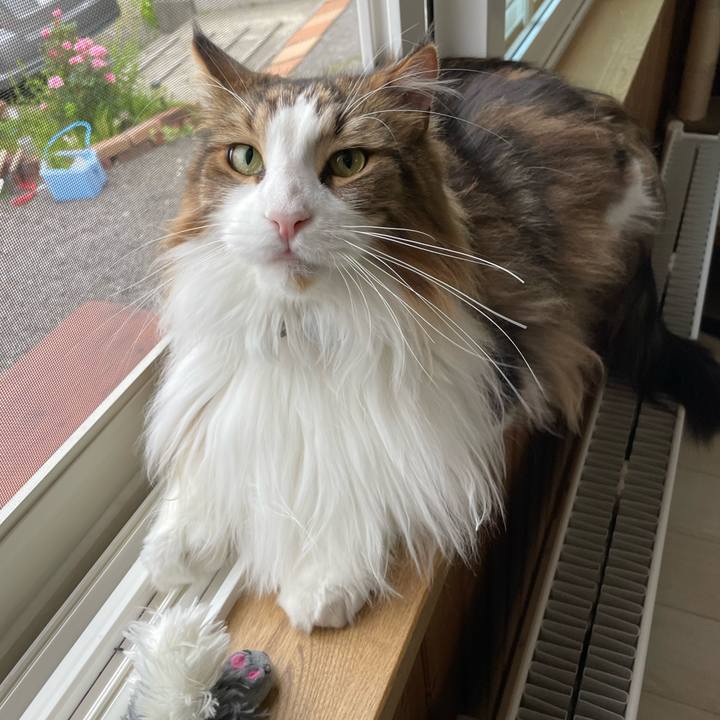 6dd24fba ec10 437c 815a ee8322c3788f 1686513977292