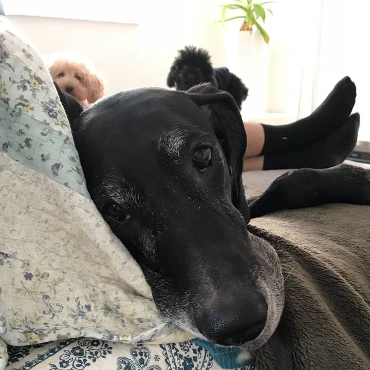 6dd259d9 8e5b 4a94 8640 2d49ce509c5f 1508971382722