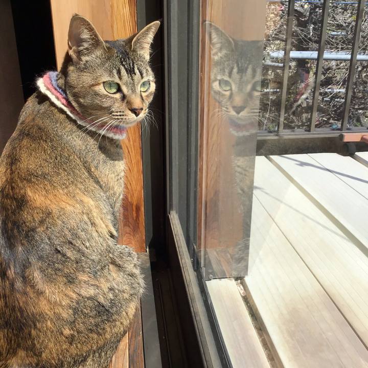 6dd29f21 5c77 4368 a629 ff19f1fb59e0 1618118647162