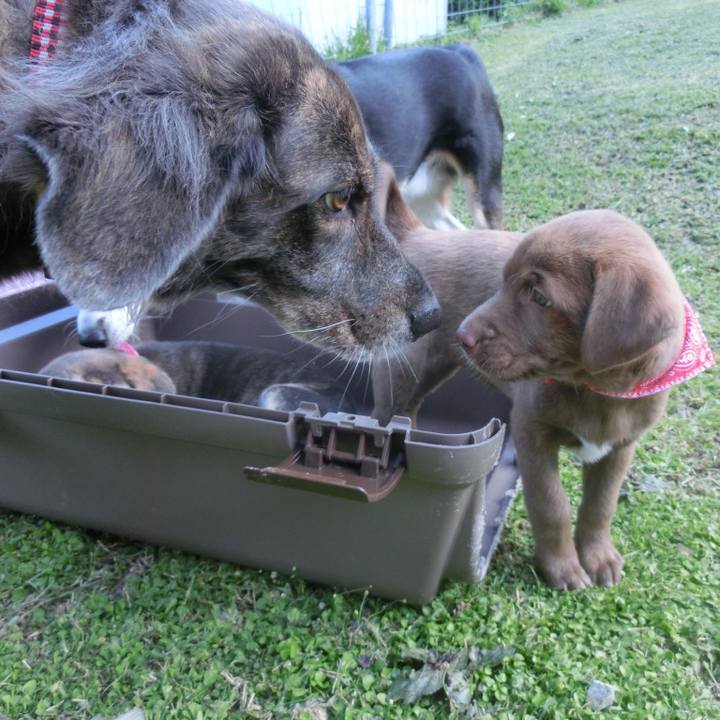 6dd2a075 2014 47b9 8ef5 0d93e4302228 1669248237278