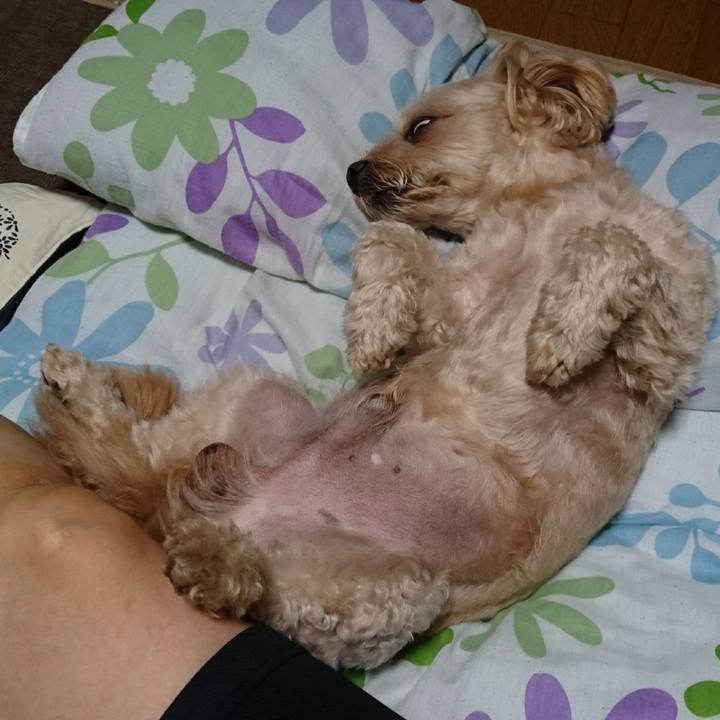 6dd30cbe 22d0 4276 948b 49ac3e228b90 1596627125070