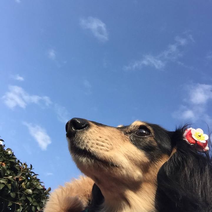 6dd31d68 a7d2 417b 944d 31c1e6595da8 1517358340729