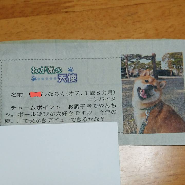 6dd3332d 05a3 4c30 a345 4ca6abcd4614 1620344734082