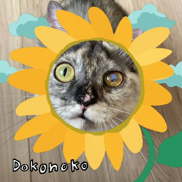 6dd33bd1 e5e4 4f0b 997e e62cef4e325a 1723175427707