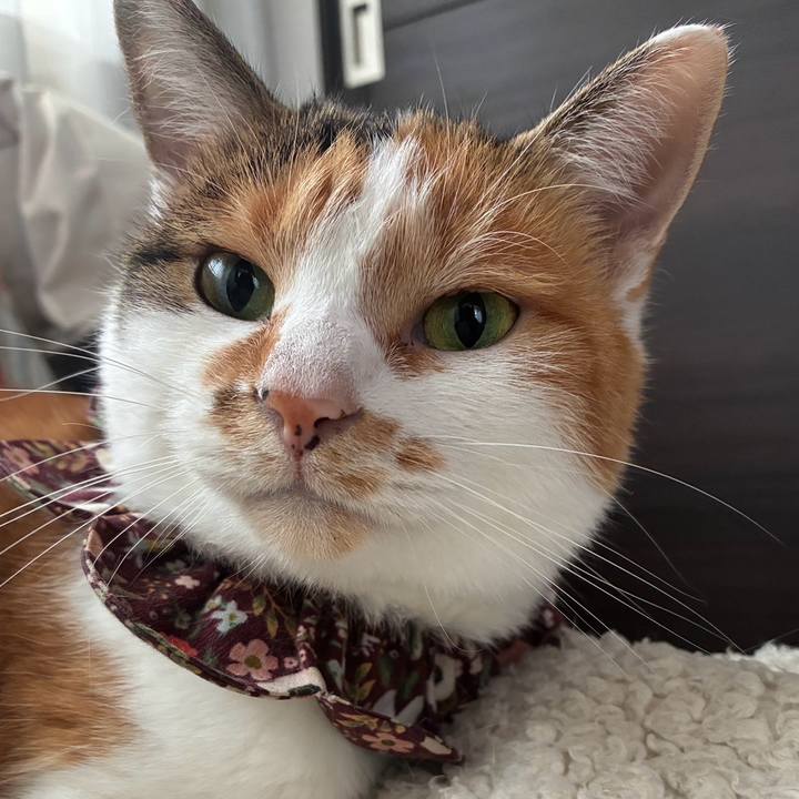 6dd34b92 3818 45bc b12c af6d09aa4a50 1761311969026