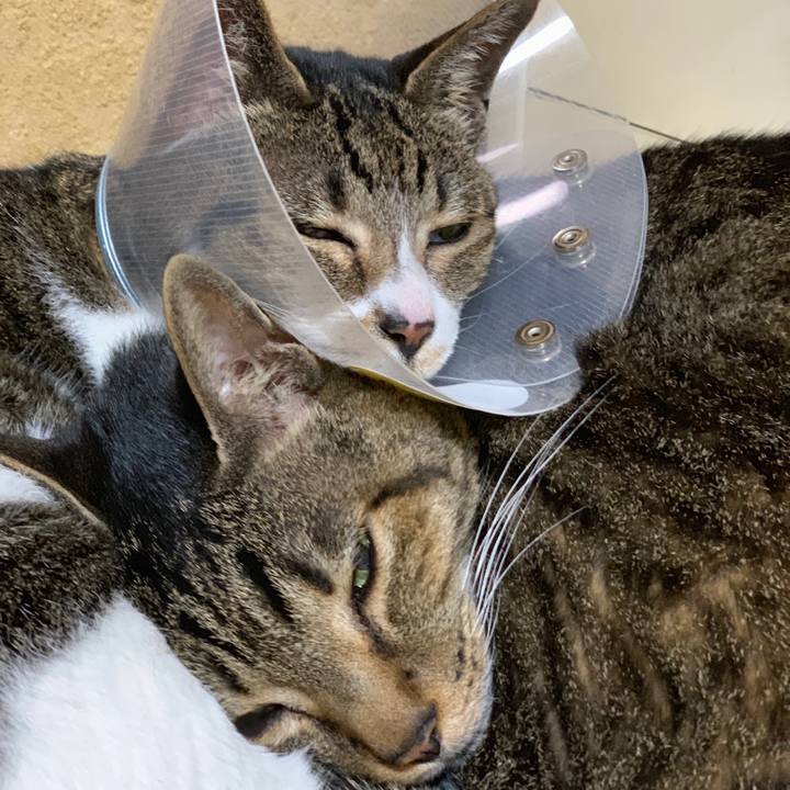 6dd38edd 563b 4d50 8a28 78d4367d9a8e 1554771157224