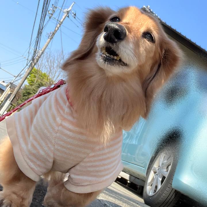 6dd39e44 98b7 4859 bf8b c565f77f7c7d 1680613138372