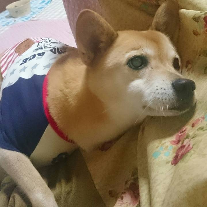 6dd3bdfe 7f14 402a 8ba2 c7799b518c5d 1541692537421