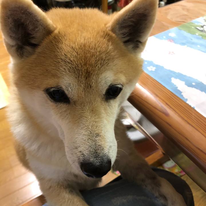 6dd3d38b 020e 4199 be99 067b021c8380 1575362861118