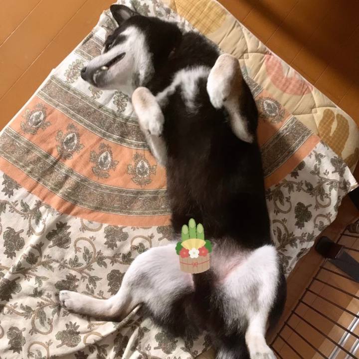 6dd3eb89 8bb0 4448 bcca 4c94cb9f225e 1704600448424