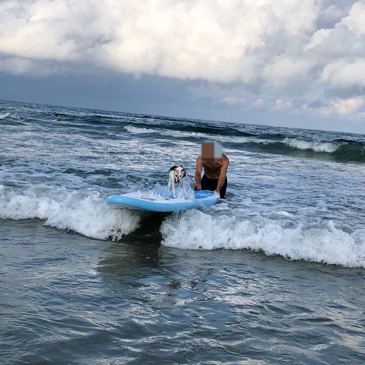 6dd3f789 df91 488d a422 032fe496bb44 1535878574895