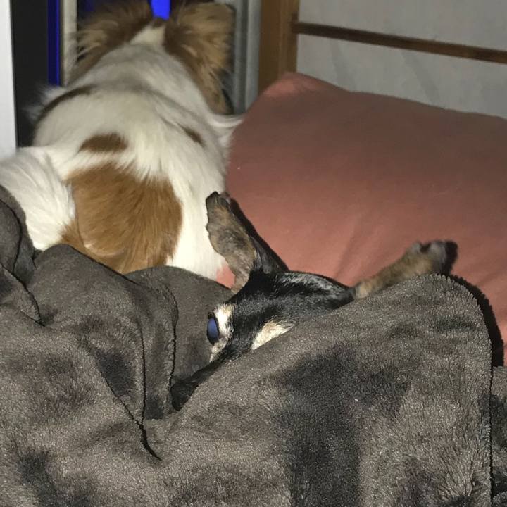 6dd40c4b cff2 4cf6 b148 cd737a054505 1557140523571