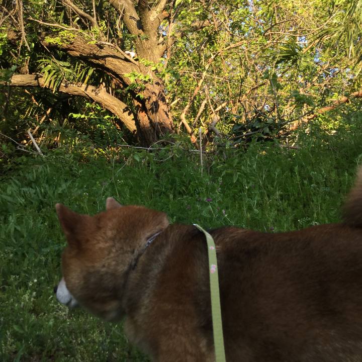 6dd41a5b 4a45 40c8 94b2 d9fc59f6621c 1587816021368