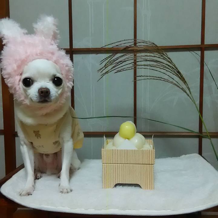 6dd429ae a2f7 4eeb 9789 6db4f53f3c3f 1632234334251