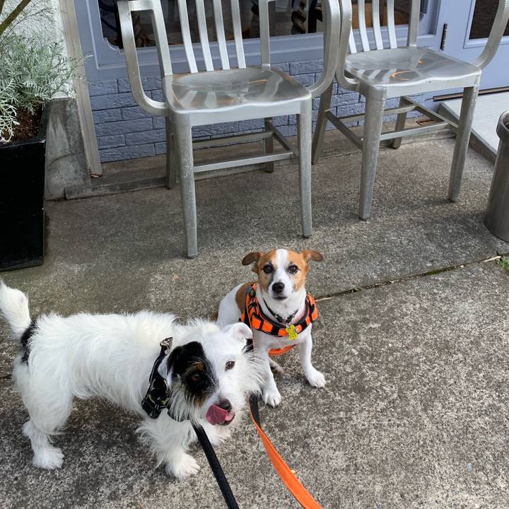 6dd451f2 2dcd 4527 ba64 988e2c2f3d65 1567326377632