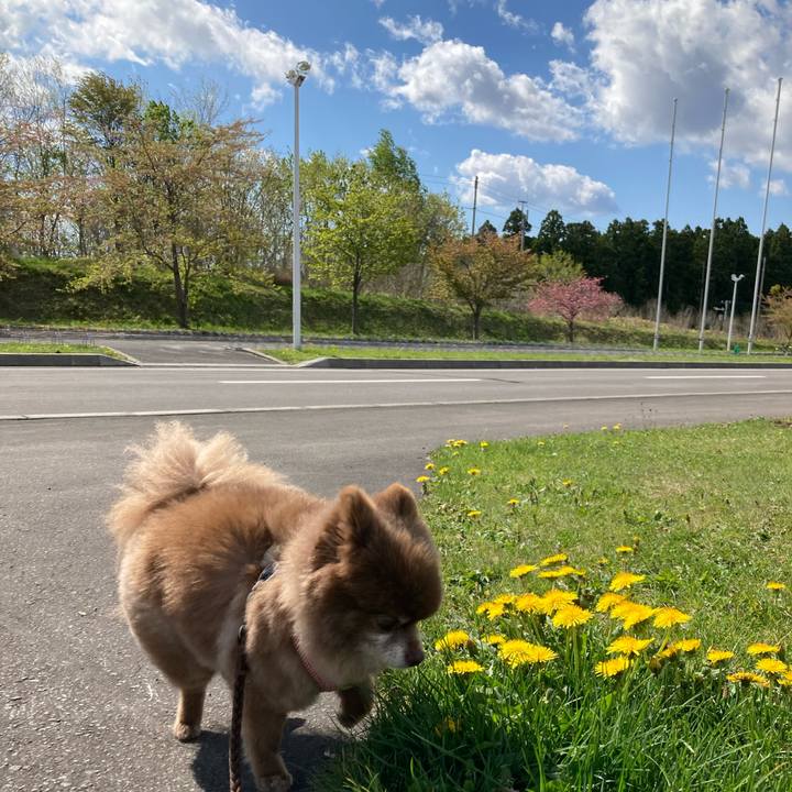 6dd478ed b722 4b38 9526 6d59d27fb1ae 1651990133981