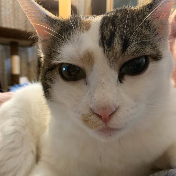 6dd49185 edc2 43c0 82ed 032c56633767 1680656357113