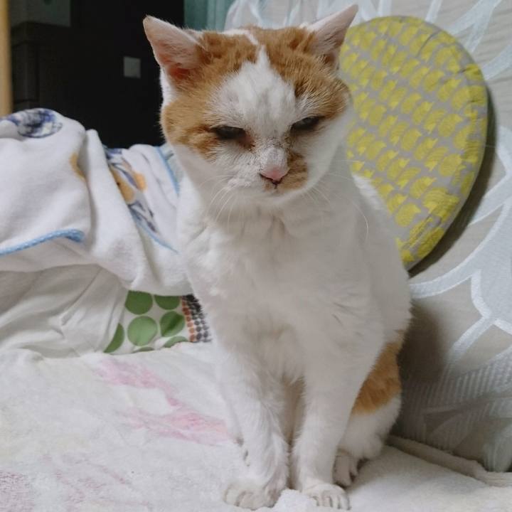 6dd4aaf6 1df8 44fc b344 ed26f4268990 1679653825420