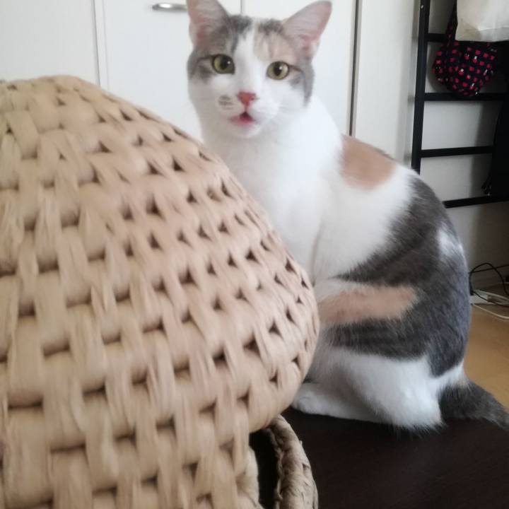 6dd4cc83 c441 4ba8 b09c 4a1108428676 1524279704084