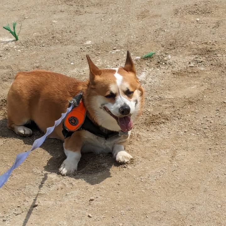 6dd4ea8b f706 45d0 9d7f f70083506c09 1712033661189