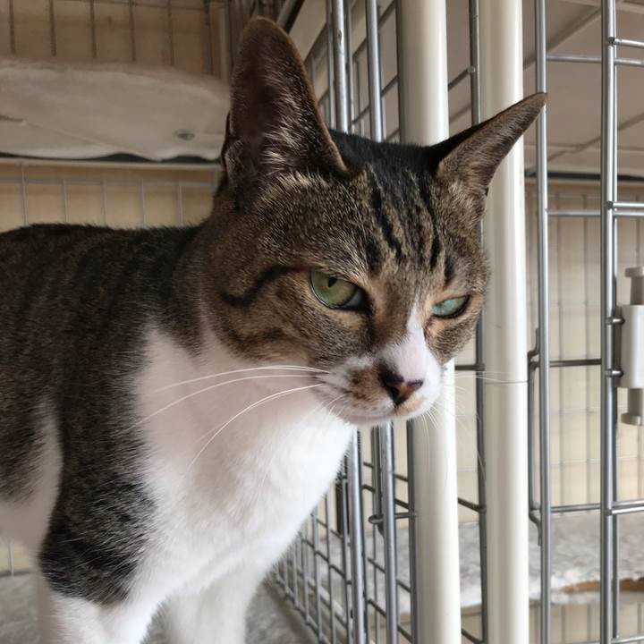 6dd51761 8327 4814 9493 82a2394427f5 1520298247951