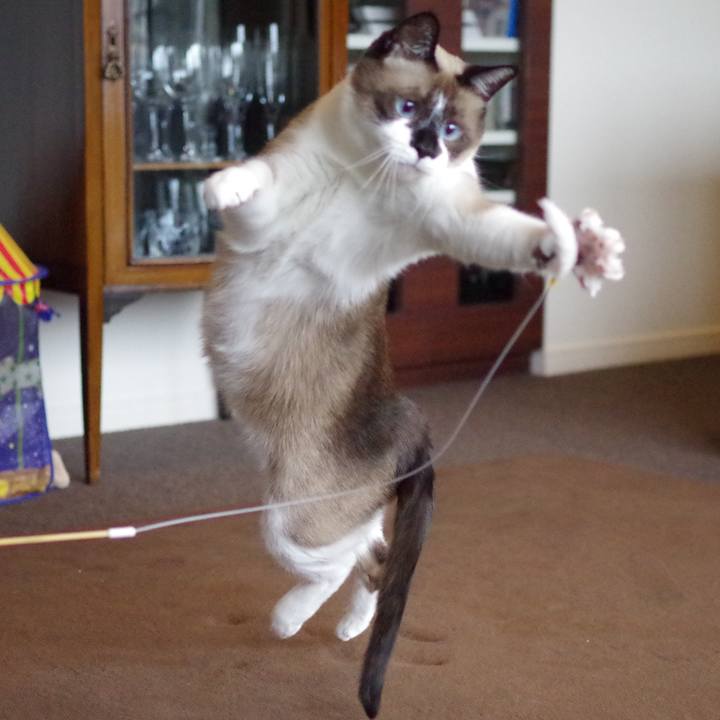 6dd58cdb fc4c 4103 86bd 12e3ea5ff883 1520049525835