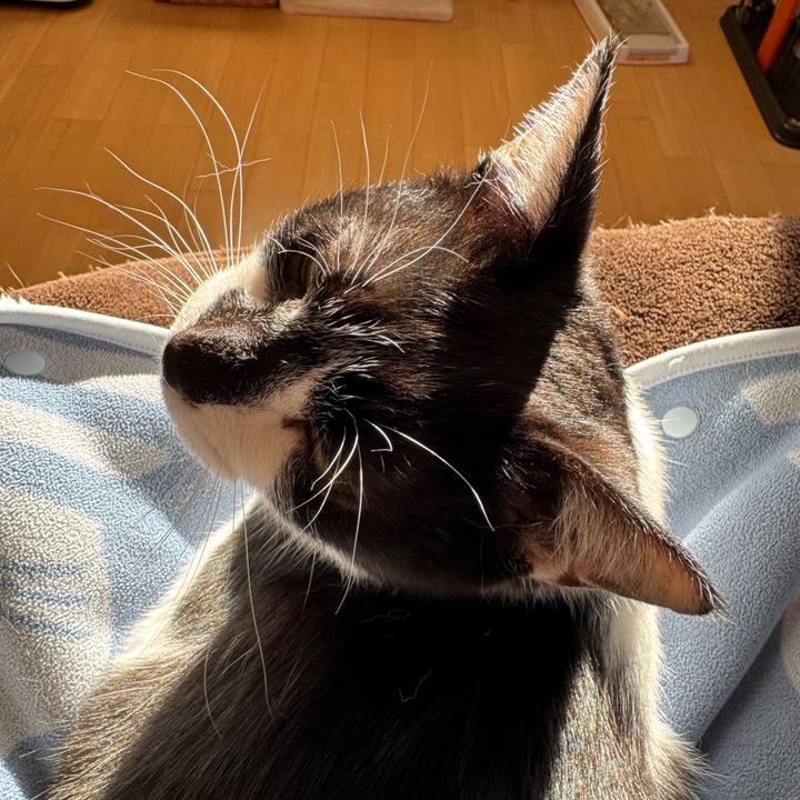 6dd5b4b0 94b5 42c1 947b d8cf60cd66d0 1772677941920