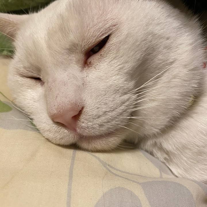 6dd5d3c4 628e 4568 9f89 8d6f76aac269 1607724681848