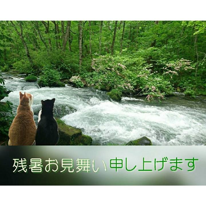 6dd62323 6930 49b5 bbc0 b10e07b8db03 1533732962762