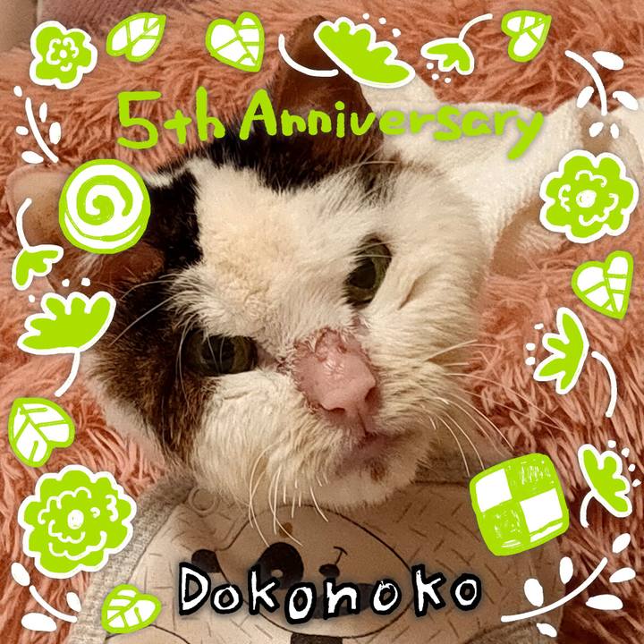 6dd639d6 7d9a 4bbd 9d1b 8ac9de3cf6bb 1622871393462