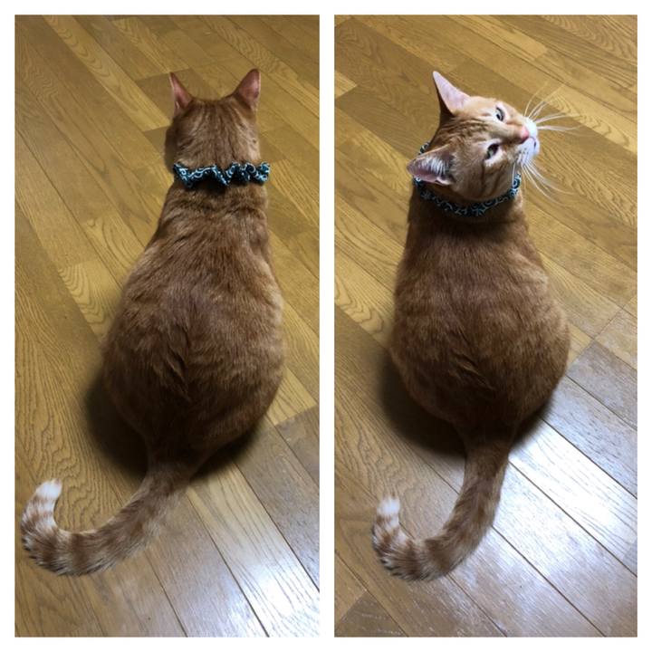 6dd6447c 8ece 4222 b7fe e1f7f33a8da3 1557052042936