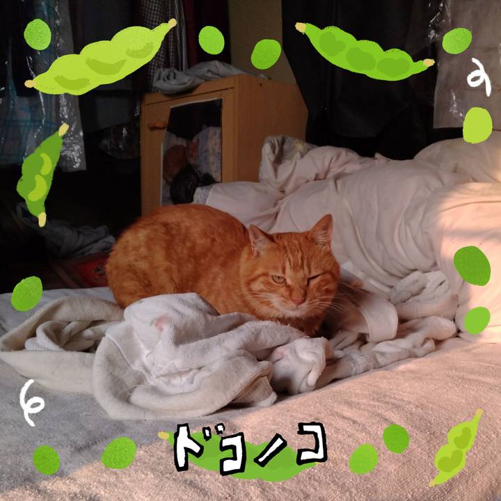 6dd6504f 7a50 4ce6 8ab6 17922139c12c 1720824441558