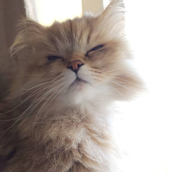 6dd66955 25e4 48d2 894b 858636b9deb6 1619055437909