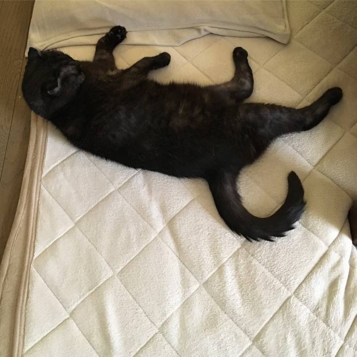 6dd685e6 f1d6 431f b24e 1bde374a88c7 1529640375301