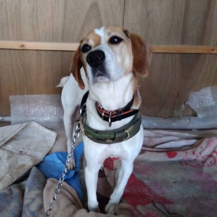 6dd6a22b 9fe7 477d a8bd 532e766fc02e 1686917398538