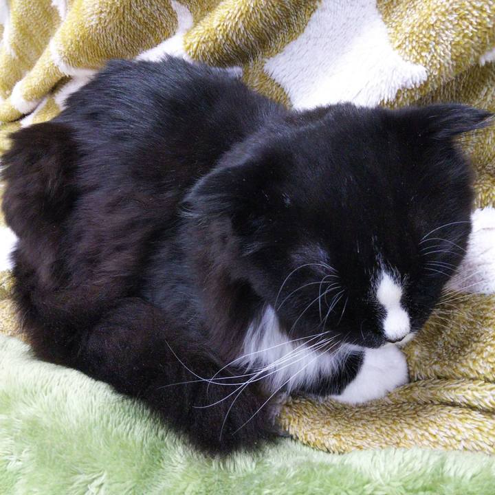 6dd6a9f6 3c57 407b b6a3 bba207ae3755 1646480207080