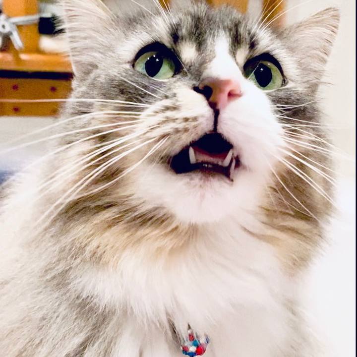 6dd6c6a2 351d 454c af4d 34086c27e423 1682870031327