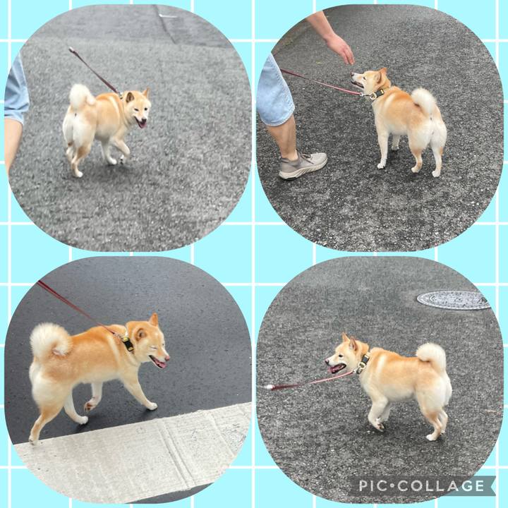 6dd78992 8798 4f66 a836 238a8127222a 1686700274439