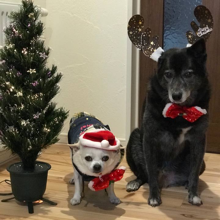 6dd78ebd a7de 439b 853d bb8613f9cf02 1577254397540