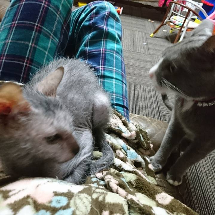 6dd7f527 0677 43fa 8dca 8b459d9f3882 1514604500102