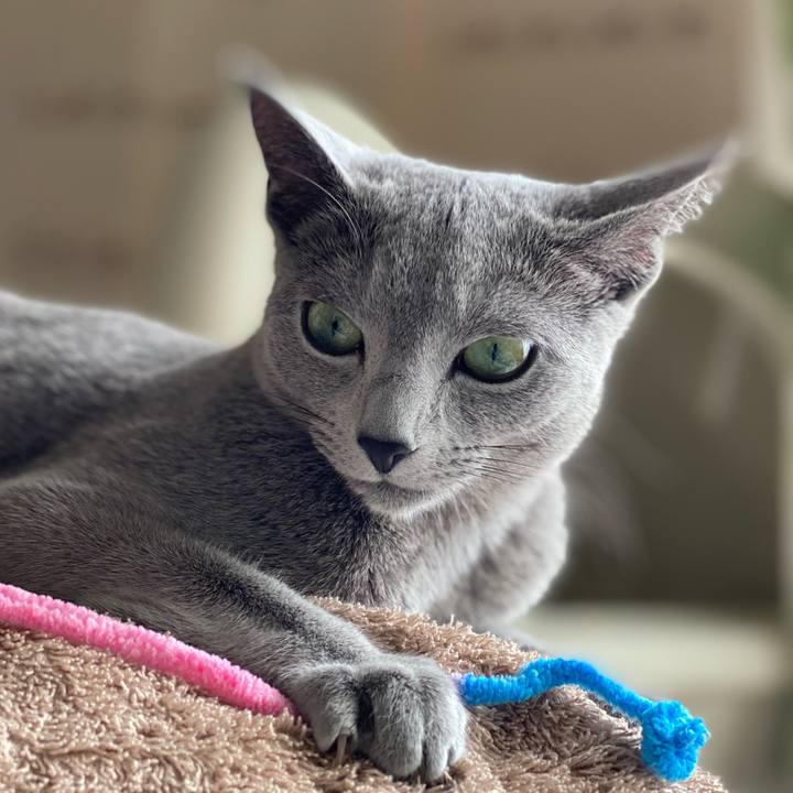 6dd8142f 5d4c 4a2a 920e a6350c83cfc5 1617452618308