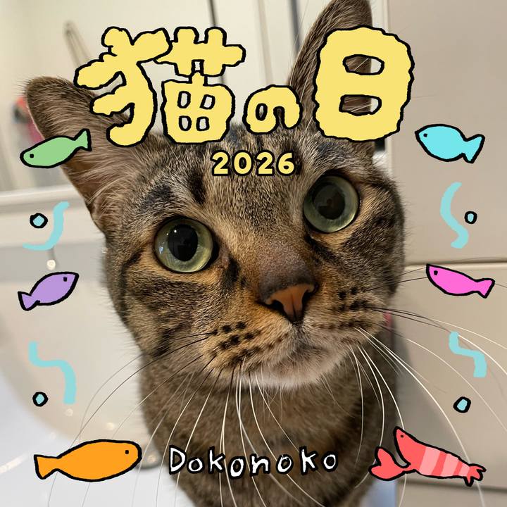 6dd83d42 8936 400a b3fe 931f16ae3953 1771736561121