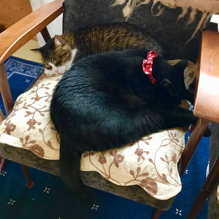 6dd83ff0 de99 4dcc ae4e 080e2e82a4ea 1525569835249