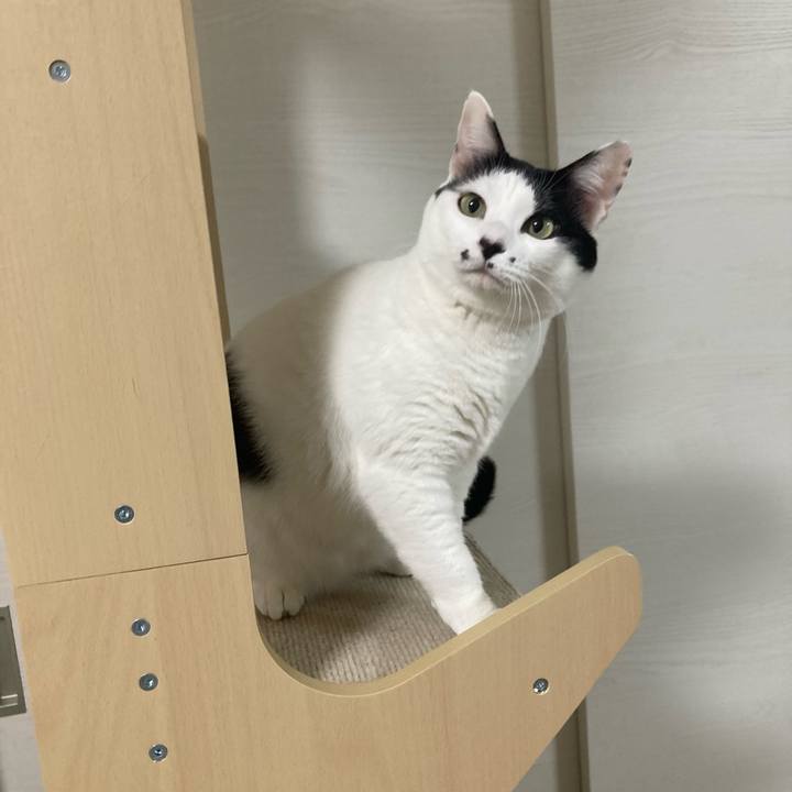 6dd843fd c03a 4143 bc02 5c304000f1b0 1763757817352